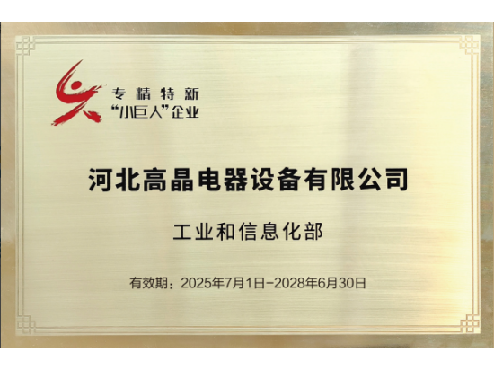 專精特新小巨人企業(yè)