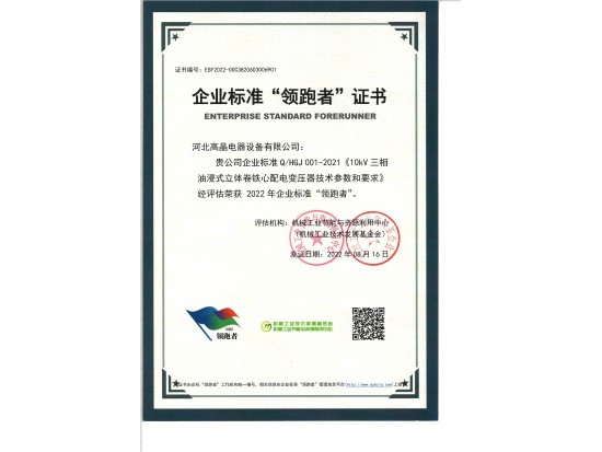 企業(yè)標(biāo)準(zhǔn)領(lǐng)跑者證書